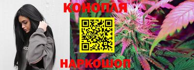 стафф Нальчик