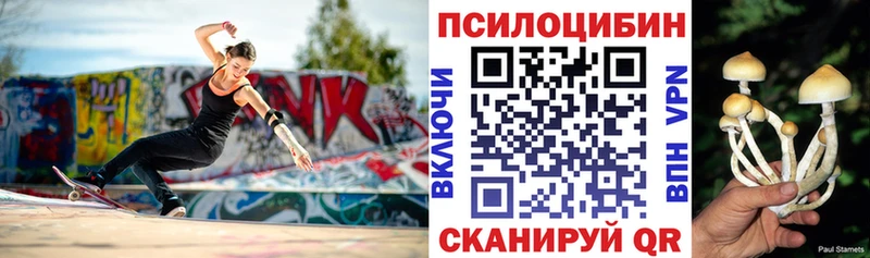 даркнет сайт  Шарыпово  Псилоцибиновые грибы ЛСД 